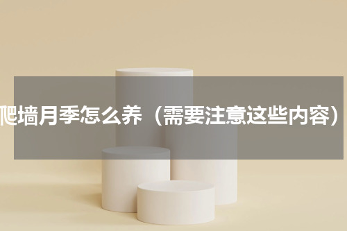 爬墙月季怎么养（需要注意这些内容）