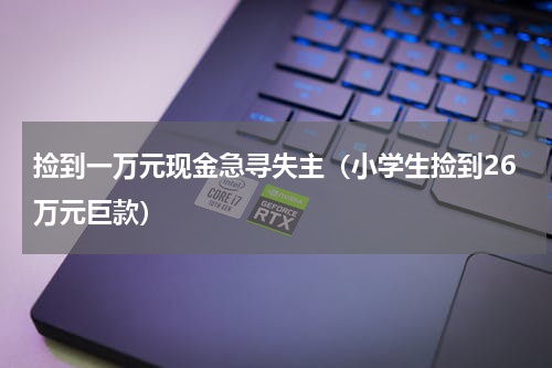 捡到一万元现金急寻失主（小学生捡到26万元巨款）