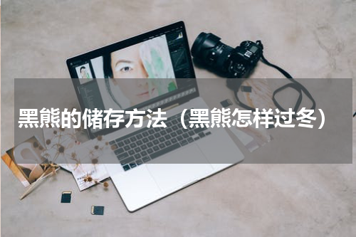 黑熊的储存方法（黑熊怎样过冬）