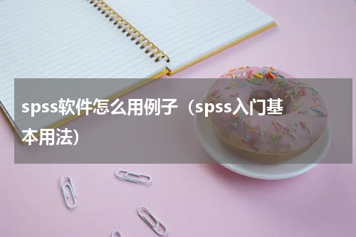 spss软件怎么用例子（spss入门基本用法）