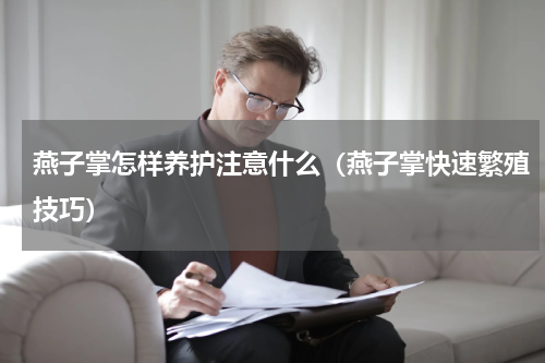 燕子掌怎样养护注意什么（燕子掌快速繁殖技巧）