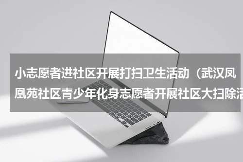 小志愿者进社区开展打扫卫生活动（武汉凤凰苑社区青少年化身志愿者开展社区大扫除活动）