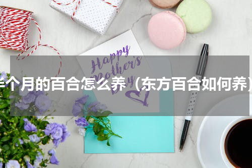 半个月的百合怎么养（东方百合如何养）