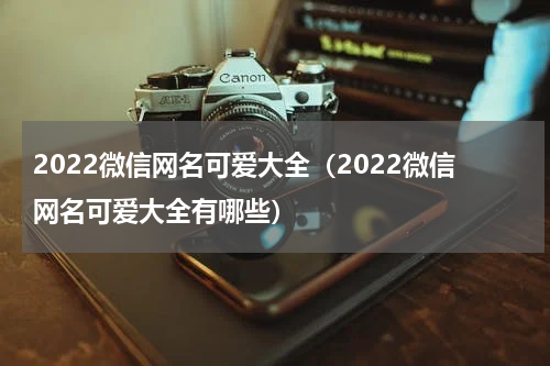 2022微信网名可爱大全（2022微信网名可爱大全有哪些）