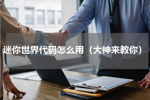 迷你世界代码怎么用（大神来教你）