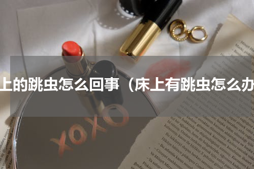 床上的跳虫怎么回事（床上有跳虫怎么办）