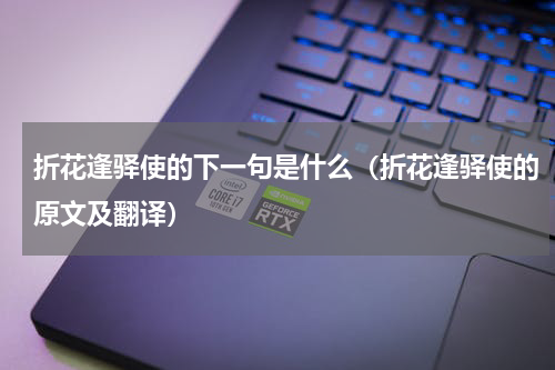 折花逢驿使的下一句是什么（折花逢驿使的原文及翻译）