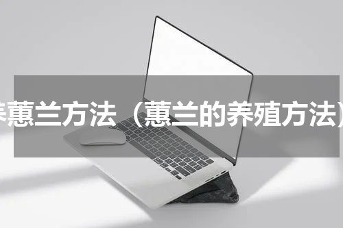 养蕙兰方法（蕙兰的养殖方法）