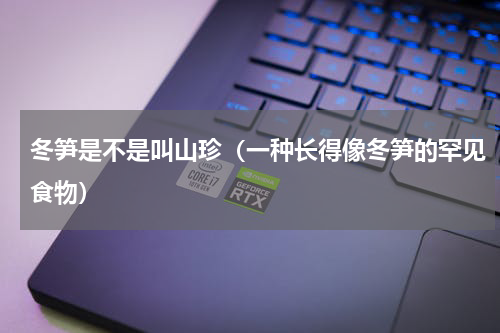 冬笋是不是叫山珍（一种长得像冬笋的罕见食物）