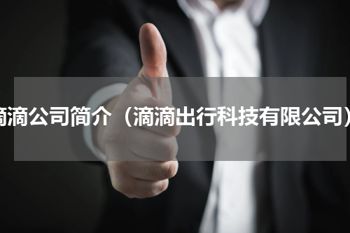 滴滴公司简介（滴滴出行科技有限公司）