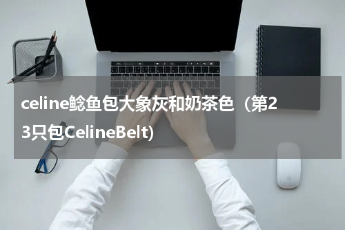 celine鲶鱼包大象灰和奶茶色（第23只包CelineBelt）
