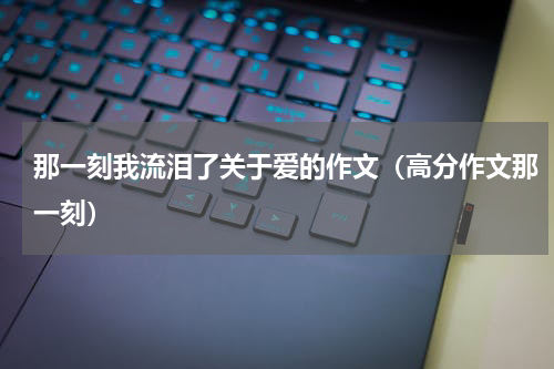 那一刻我流泪了关于爱的作文（高分作文那一刻）