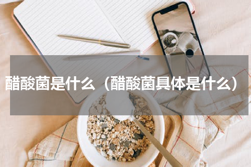 醋酸菌是什么（醋酸菌具体是什么）