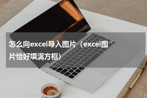 怎么向excel导入图片（excel图片恰好填满方框）