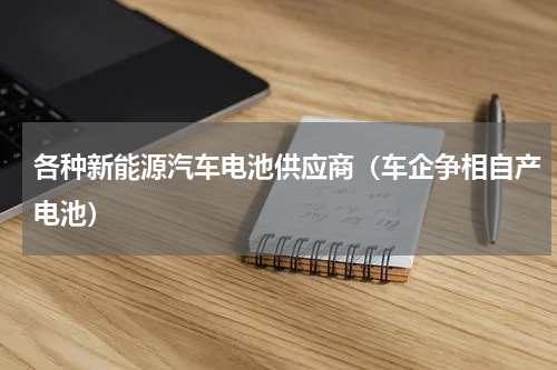 各种新能源汽车电池供应商（车企争相自产电池）