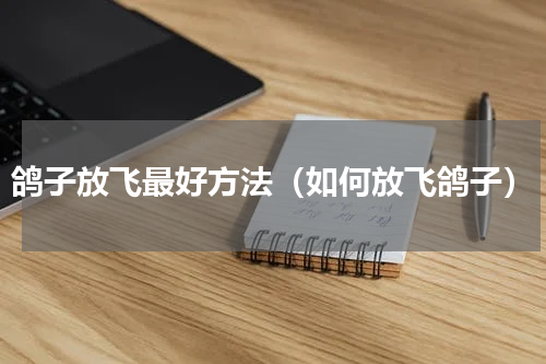 鸽子放飞最好方法（如何放飞鸽子）
