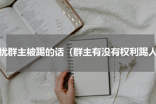 打扰群主被踢的话（群主有没有权利踢人）