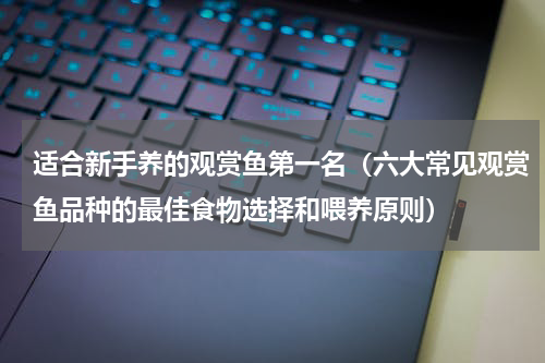 适合新手养的观赏鱼第一名（六大常见观赏鱼品种的最佳食物选择和喂养原则）