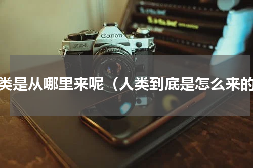 人类是从哪里来呢（人类到底是怎么来的）