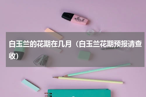 白玉兰的花期在几月（白玉兰花期预报请查收）