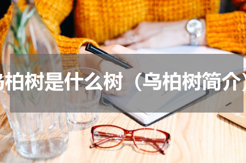 乌柏树是什么树（乌柏树简介）
