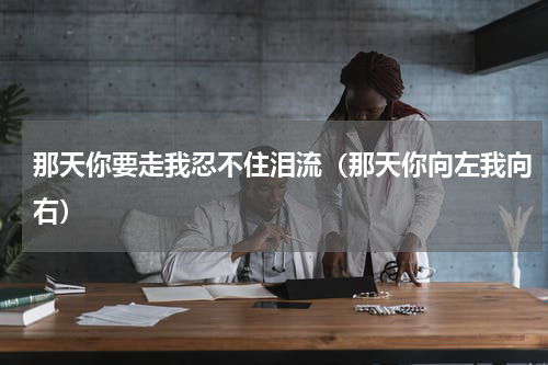 那天你要走我忍不住泪流（那天你向左我向右）