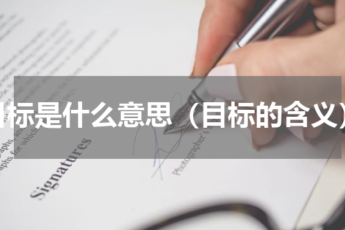 目标是什么意思（目标的含义）