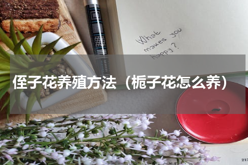 侄子花养殖方法（栀子花怎么养）