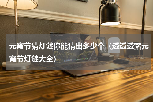 元宵节猜灯谜你能猜出多少个（透透透露元宵节灯谜大全）