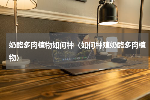 奶酪多肉植物如何种（如何种殖奶酪多肉植物）