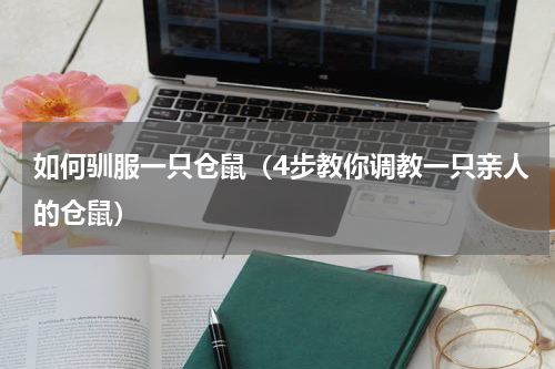 如何驯服一只仓鼠（4步教你调教一只亲人的仓鼠）