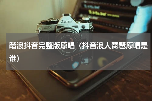 踏浪抖音完整版原唱（抖音浪人琵琶原唱是谁）