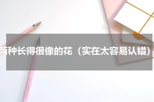 两种长得很像的花（实在太容易认错）