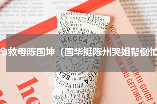 卖命救母陈国坤（国华挺陈州哭姐帮倒忙）