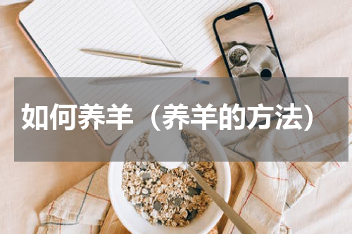 如何养羊（养羊的方法）