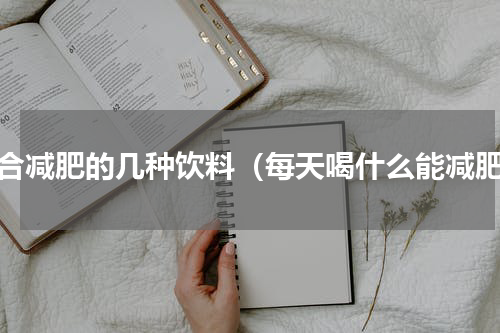 适合减肥的几种饮料（每天喝什么能减肥）