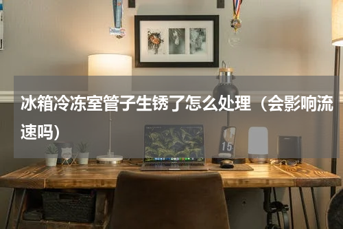 冰箱冷冻室管子生锈了怎么处理（会影响流速吗）