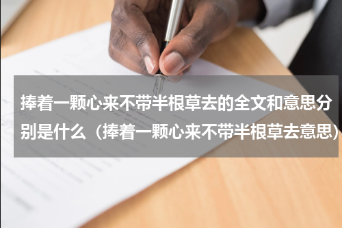 捧着一颗心来不带半根草去的全文和意思分别是什么（捧着一颗心来不带半根草去意思）