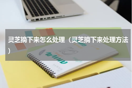 灵芝摘下来怎么处理（灵芝摘下来处理方法）