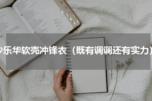 沙乐华软壳冲锋衣（既有调调还有实力）