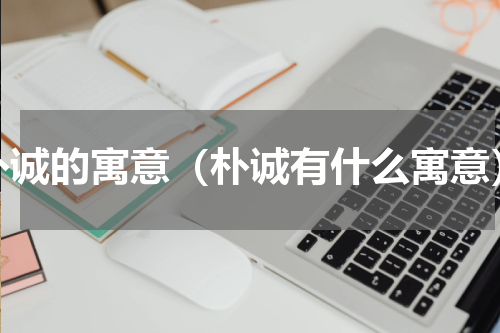 朴诚的寓意（朴诚有什么寓意）