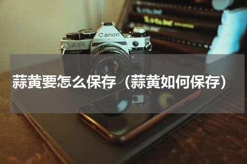 蒜黄要怎么保存（蒜黄如何保存）