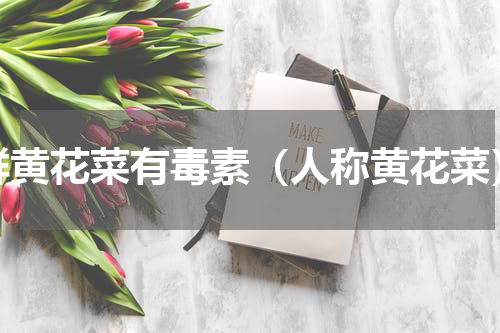 鲜黄花菜有毒素（人称黄花菜）