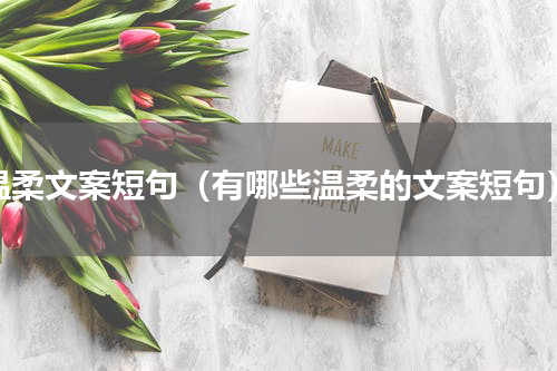 温柔文案短句（有哪些温柔的文案短句）