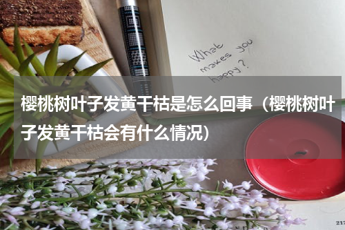 樱桃树叶子发黄干枯是怎么回事（樱桃树叶子发黄干枯会有什么情况）