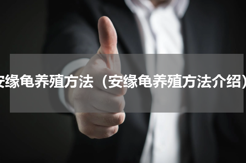 安缘龟养殖方法（安缘龟养殖方法介绍）