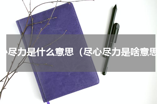 尽心尽力是什么意思（尽心尽力是啥意思）