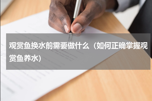 观赏鱼换水前需要做什么（如何正确掌握观赏鱼养水）