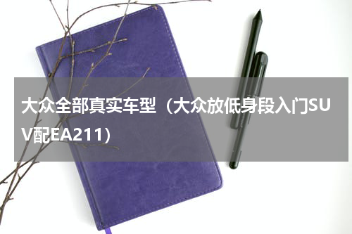 大众全部真实车型（大众放低身段入门SUV配EA211）