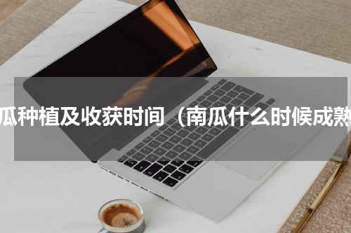 南瓜种植及收获时间（南瓜什么时候成熟）